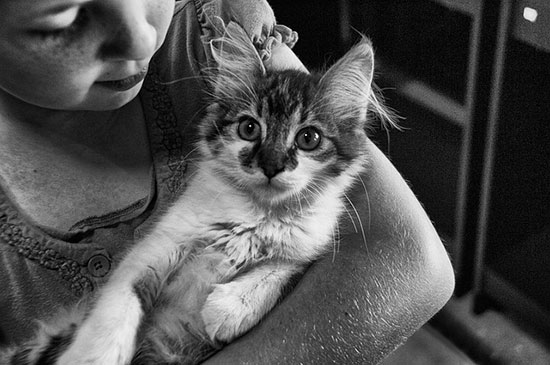 chica-con-gatito