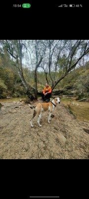 Imagen 6 de la mascota